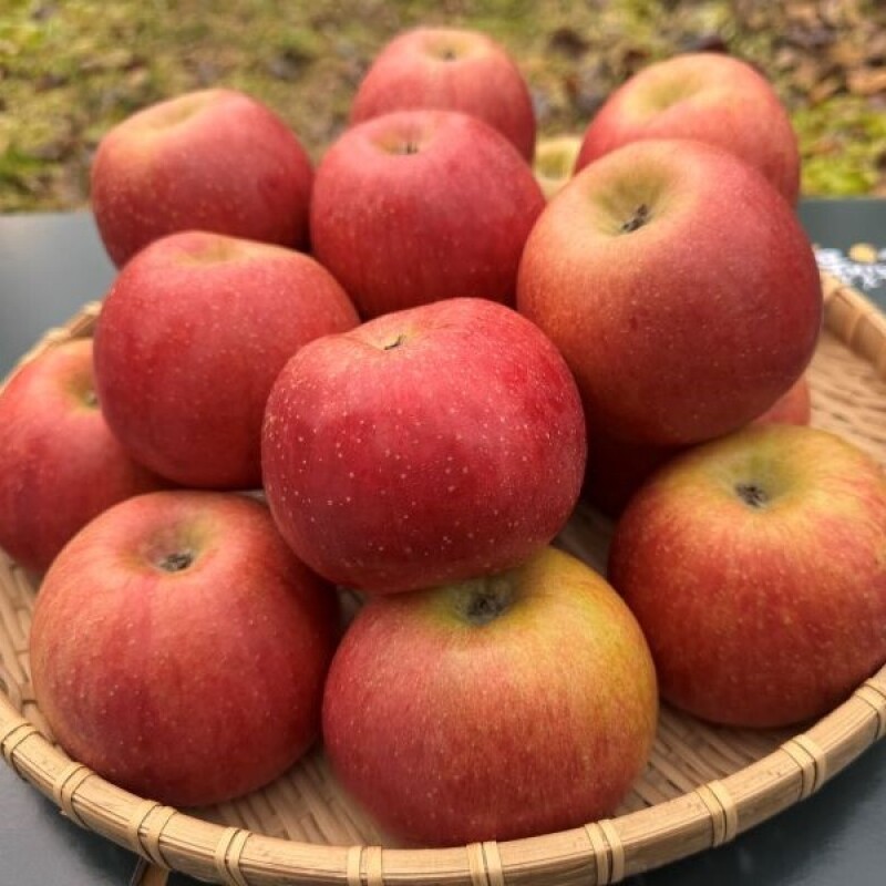 강원더몰,화천 토고미마을 좋아농원 부사사과 (5kg/10kg)